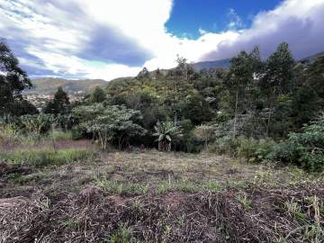 Terreno Residencial à venda Cascatinha, Nova Friburgo - R$ 162.000 - TECASCATINHA1