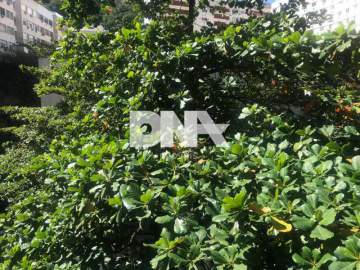 Apartamento 1 quarto à venda Copacabana, Rio de Janeiro - R$ 550.000 - NCAP11812