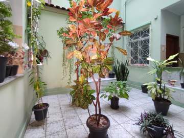Oportunidade - Apartamento à venda Rua Pedro Américo, Catete, Rio de Janeiro - R$ 370.000 - CTAP11370
