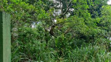 IMG-20230920-WA0036 - 1