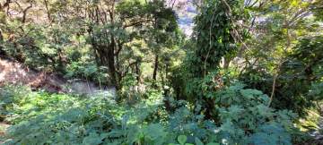 Terreno Multifamiliar à venda Rua Oswaldo Seabra, Laranjeiras, Rio de Janeiro - R$ 500.000 - NFMF00005