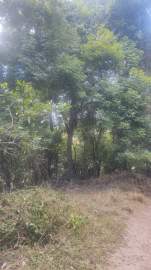 Terreno Multifamiliar à venda Serra Grande, Niterói - R$ 3.700.000 - CTMF00001
