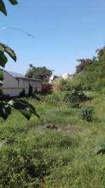 Imperdível - Terreno Multifamiliar à venda Rua Monsenhor Marques, Pechincha, BAIRROS DE ATUAÇÃO ,Rio de Janeiro - R$ 3.900.000 - PEMF00055