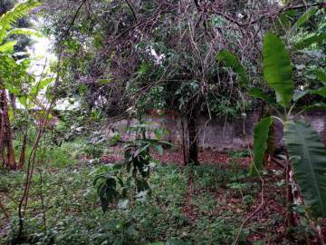 Terreno Multifamiliar à venda Estrada do Bananal, Freguesia (Jacarepaguá), Rio de Janeiro - R$ 3.550.000 - PEMF00107
