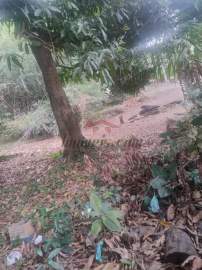 Terreno Multifamiliar à venda Pechincha, BAIRROS DE ATUAÇÃO ,Rio de Janeiro - R$ 6.000.000 - PEMF00166