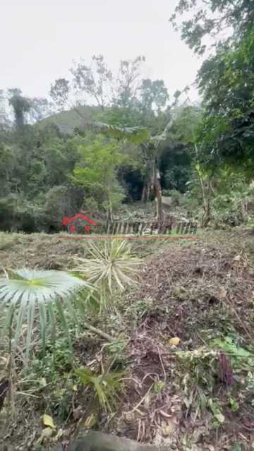 foto 4. - 4
