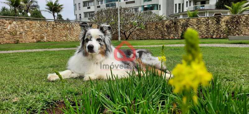 petplace01 - 16