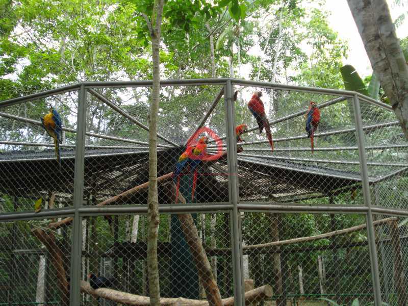 parque chico  mendes - 25