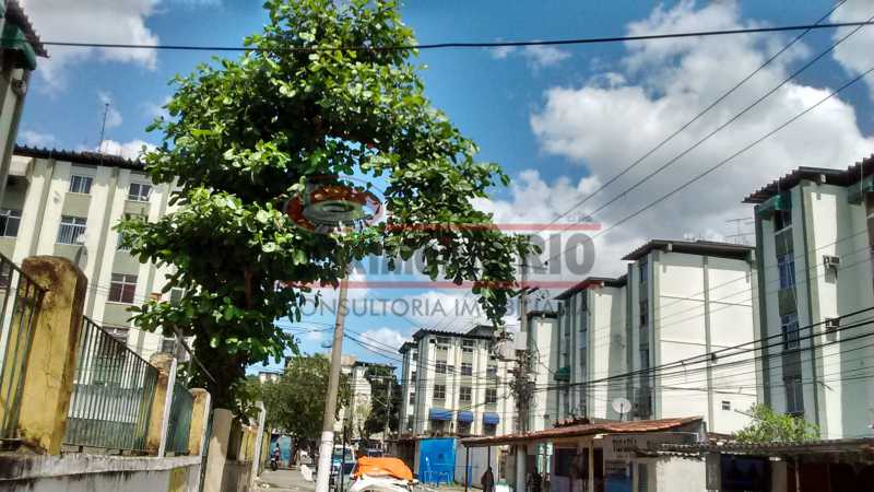 IMG_20190923_123324644_HDR - 20