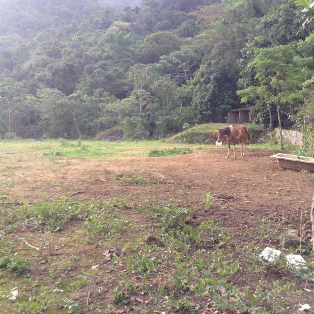 Conheça 4 do imóvel - Terreno Multifamiliar à venda Camorim, Rio de Janeiro - R$ 3.500.000 - PEMF00044 - 4 4 - 4
