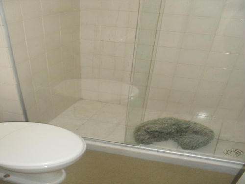 Conheça BANHEIRO... do imóvel - Cobertura 3 quartos à venda Freguesia (Jacarepaguá), Rio de Janeiro - R$ 749.000 - PC30028 - 11 BANHEIRO... - 11