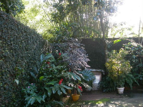 Conheça QUINTAL. do imóvel - Casa 2 quartos à venda Jacarepaguá, Rio de Janeiro - R$ 800.000 - PR20186 - 8 QUINTAL. - 8