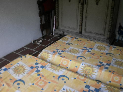 Conheça FOTO10 do imóvel - Casa 3 quartos à venda Camorim, Rio de Janeiro - R$ 1.700.000 - PR30343 - 10 FOTO10 - 10