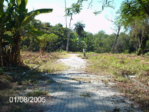 Conheça VISTA DOS FUNDOS do imóvel - Terreno Multifamiliar à venda Itanhangá, Rio de Janeiro - R$ 4.000.000 - PT00128 - 4 VISTA DOS FUNDOS - 4