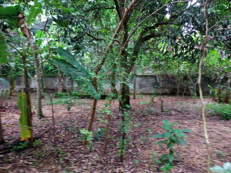 Conheça 6. do imóvel - Terreno Multifamiliar à venda Freguesia (Jacarepaguá), Rio de Janeiro - R$ 3.200.000 - PT00171 - 6 6. - 6