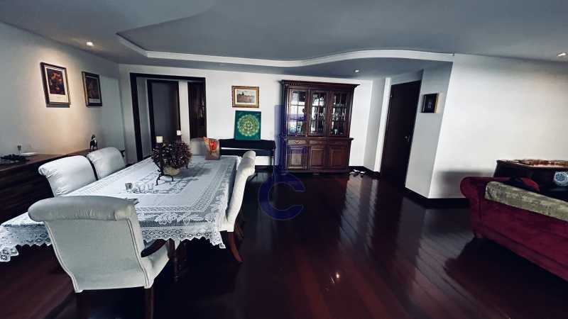 IMG_6484 - 8