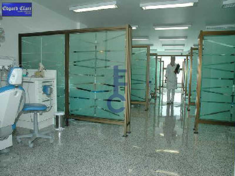 FOTO2 - 20