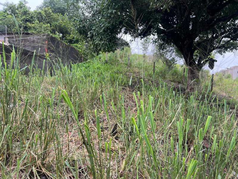 Conheça 9 do imóvel - Terreno Multifamiliar à venda Itapeba, Maricá - R$ 300.000 - FLMF00054 - 10 9 - 10