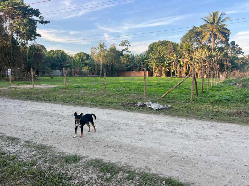 Conheça 11 do imóvel - Terreno Multifamiliar à venda Vale da Figueira (Ponta Negra), Maricá - R$ 120.000 - FLMF00058 - 11 11 - 11