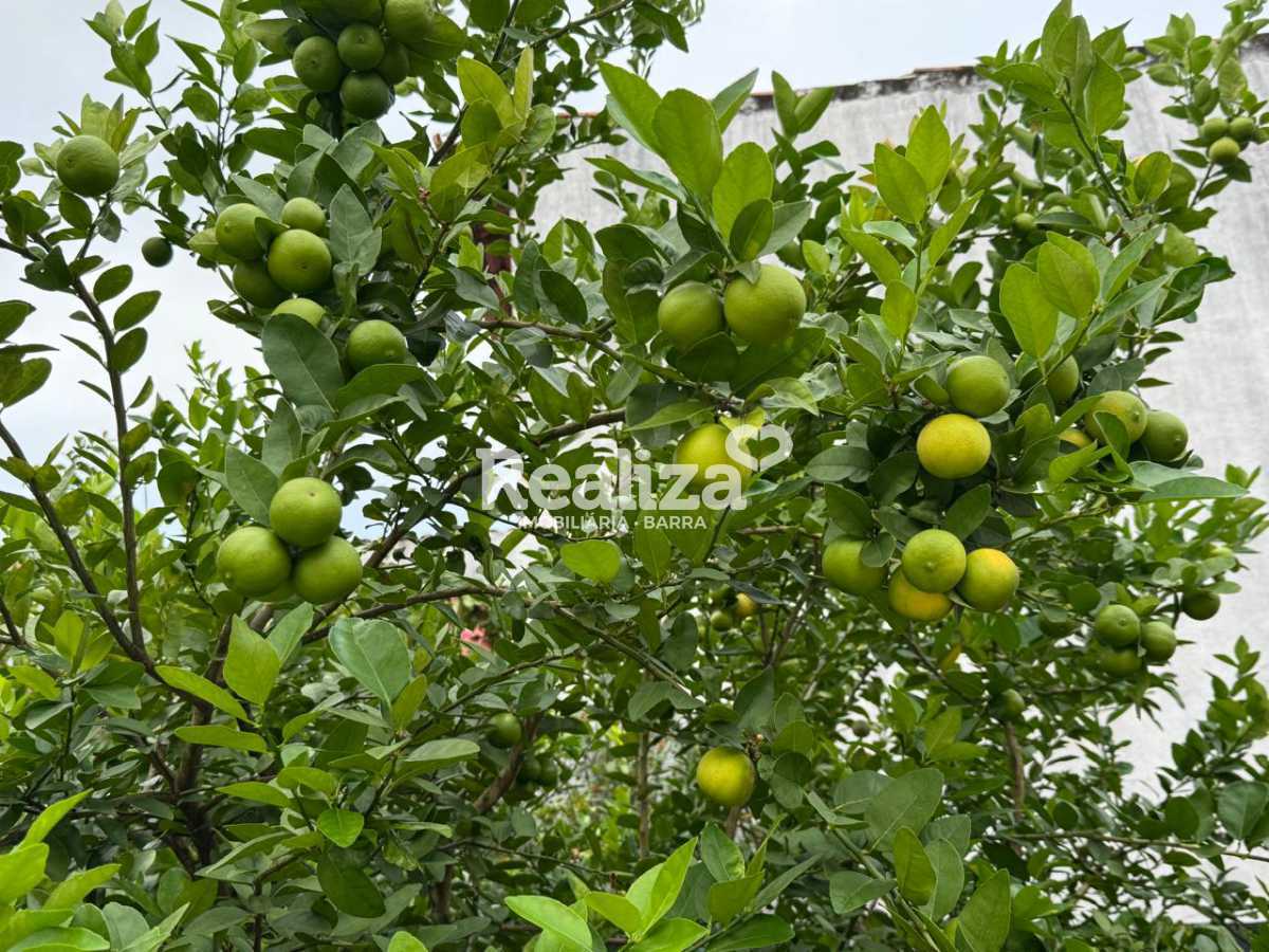 IMG-20260318-WA0070 - 5