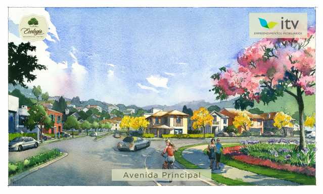 AVENIDA - 4