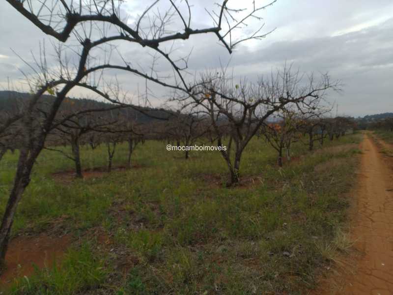 Terreno - 2