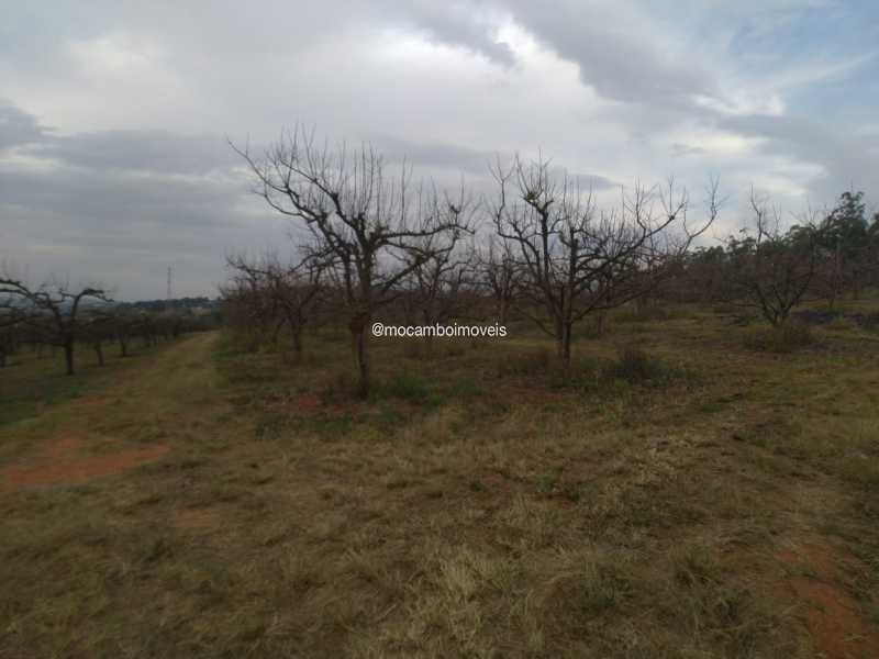 Terreno - 3