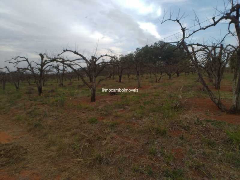 Terreno - 5