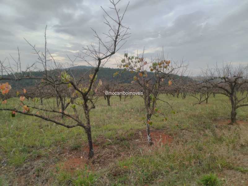 Terreno - 6