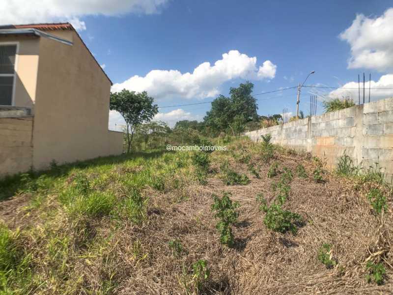 Terreno - 5