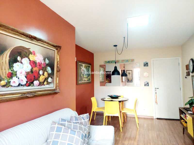 Sala - 5