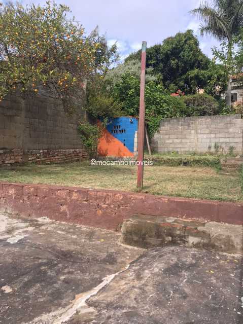 Quintal - 9