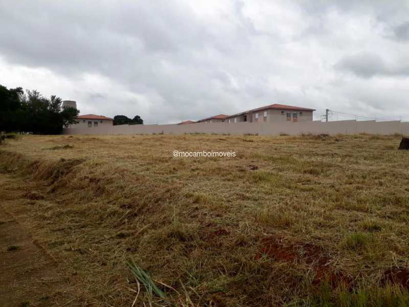Terreno - 1