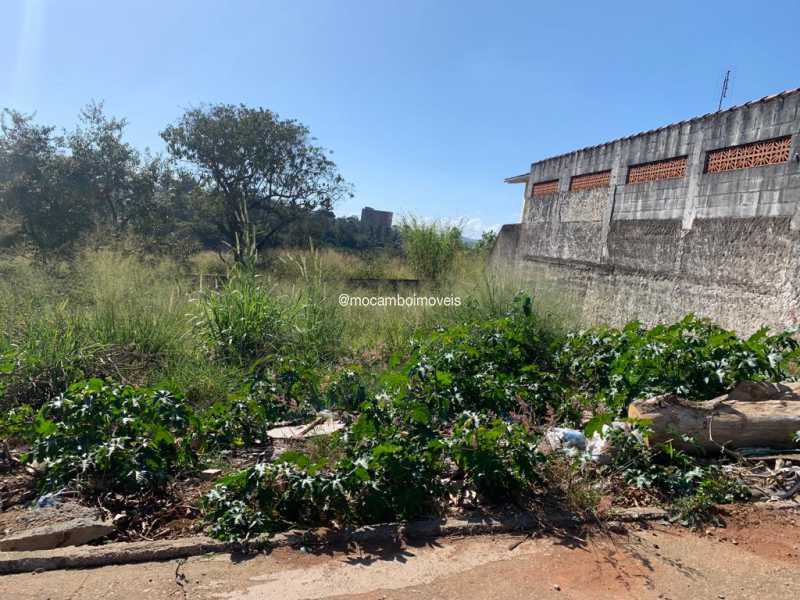 Terreno - 3