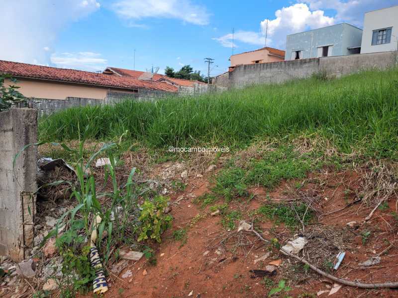 Terreno - 2