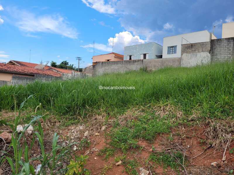 Terreno - 1