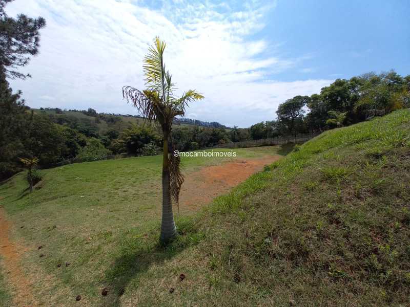 Terreno - 4