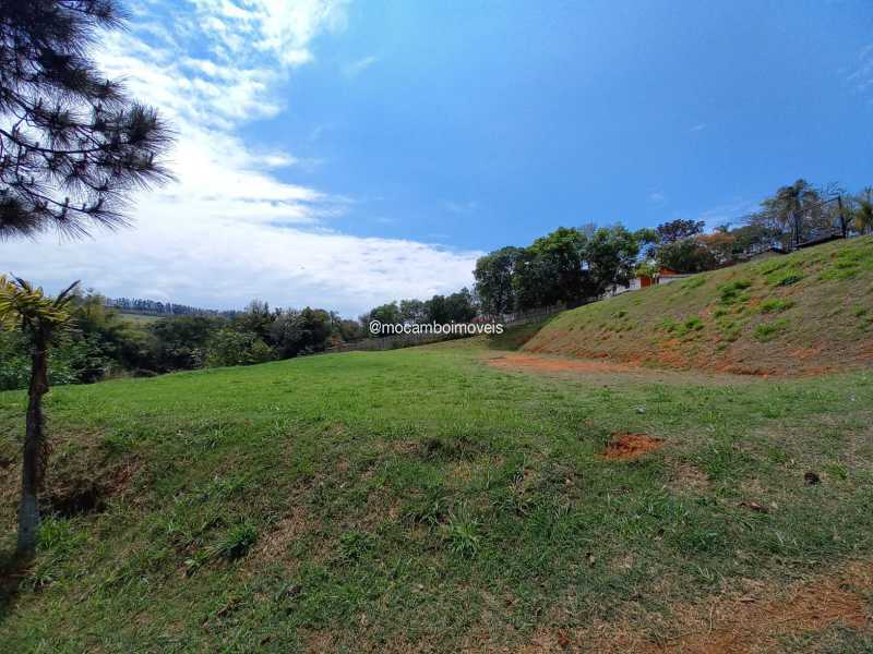 Terreno - 5