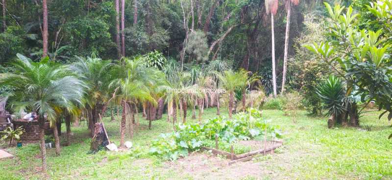 area verde - 10