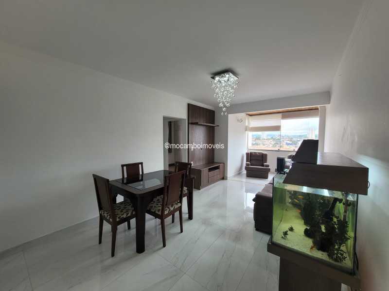 Sala - 7