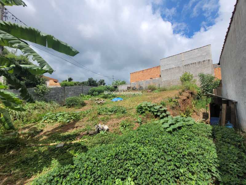 Terreno - 2
