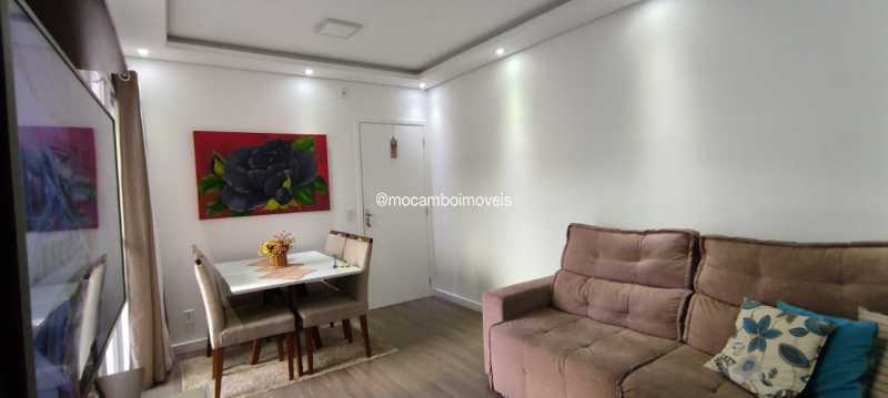 Sala - 5