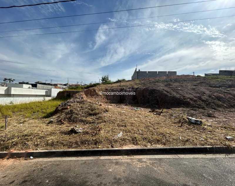 Terreno - 5