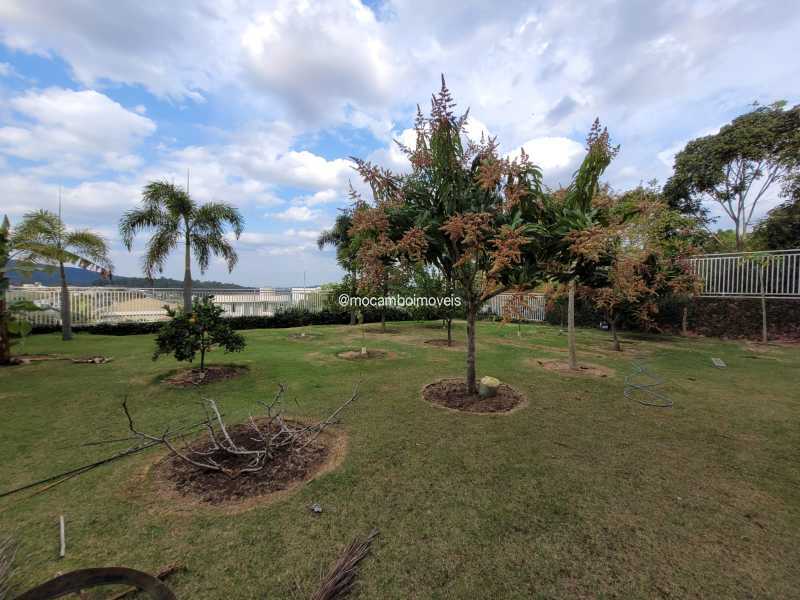 Quintal  - 26