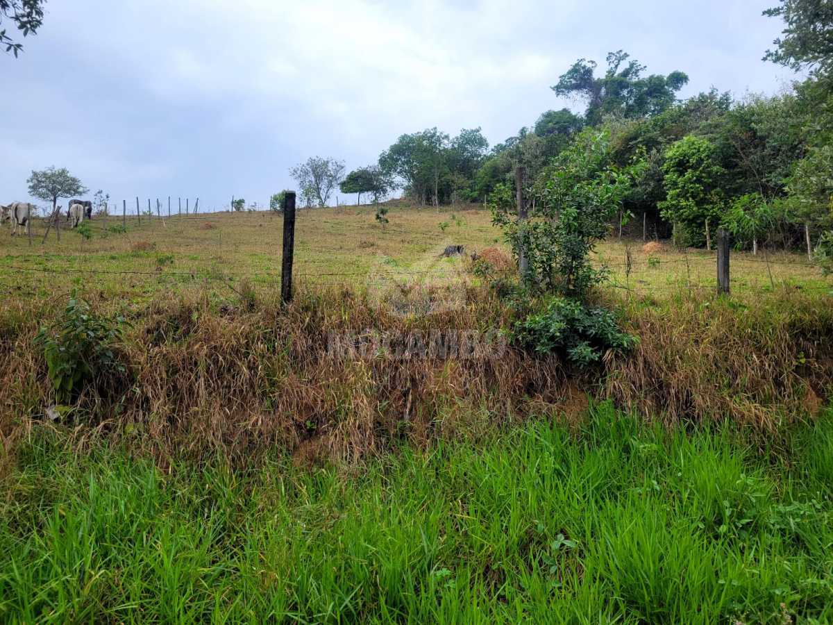 a0b3d420-ecfa-4e3c-a54a-4dabe3 - 3