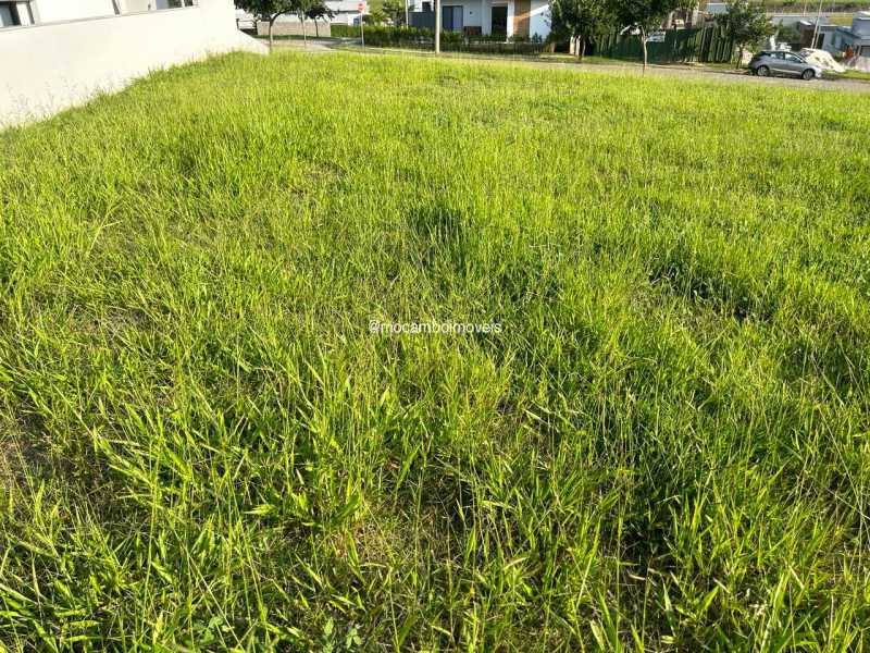 Terreno - 4