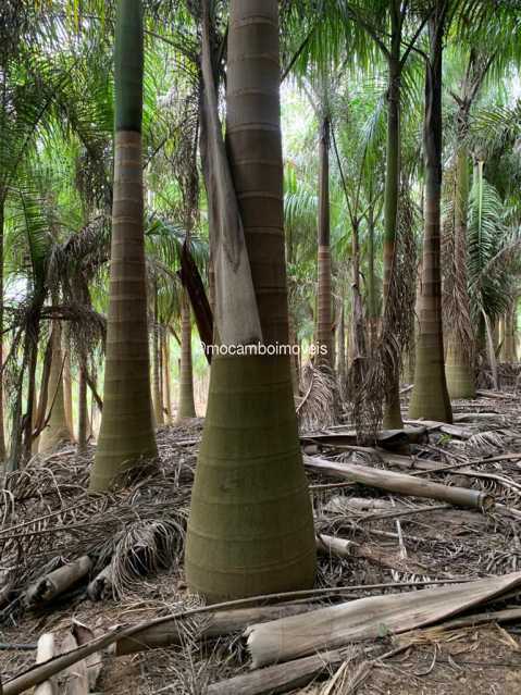 WhatsApp Image 2023-10-31 at 0 - 4