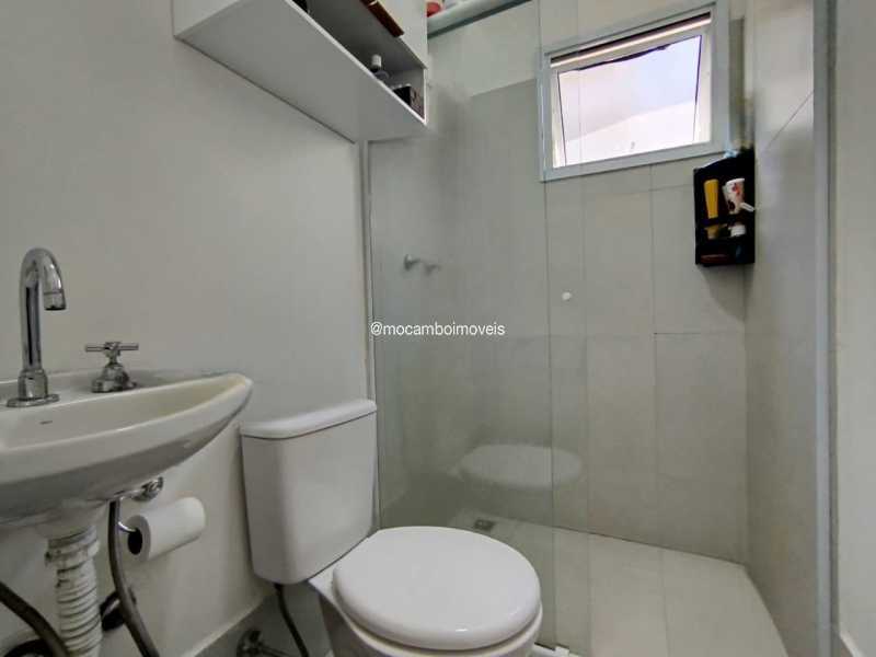 3-Photoroom. - 8