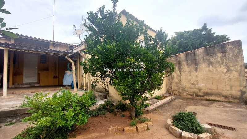Quintal - 10