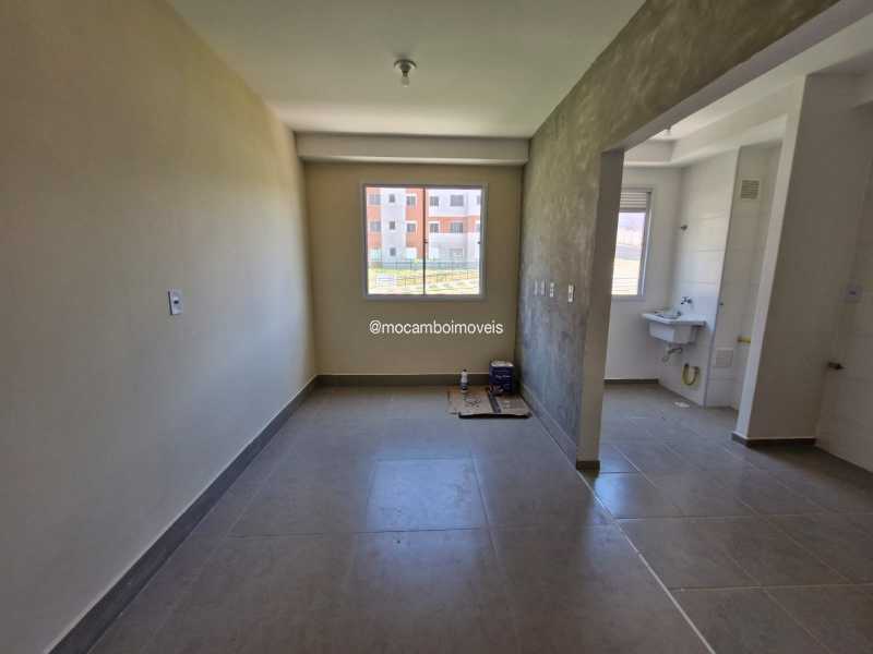 sala - 3
